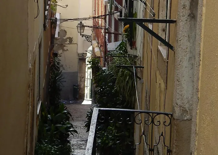 Life Alfama I * 리스본